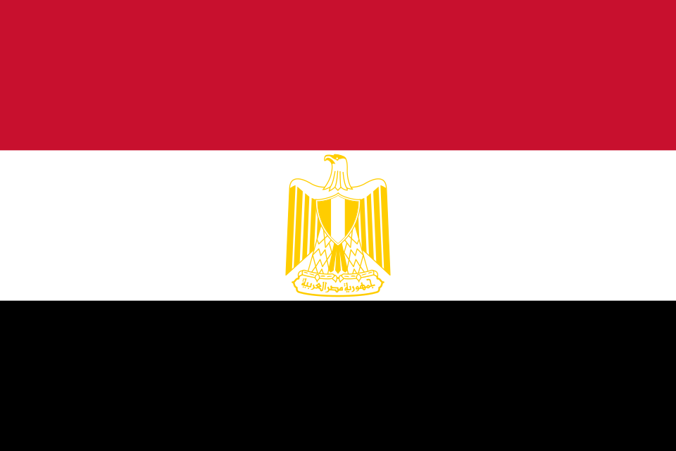 تأسيس شركة ذات مسؤولية محدودة في مصر: دليلك الشامل لبدء نشاطك بثقة ومرونة